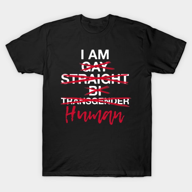 I am Human Gay Straight Bi Trans World Human Rights Day T-Shirt by Delsman35